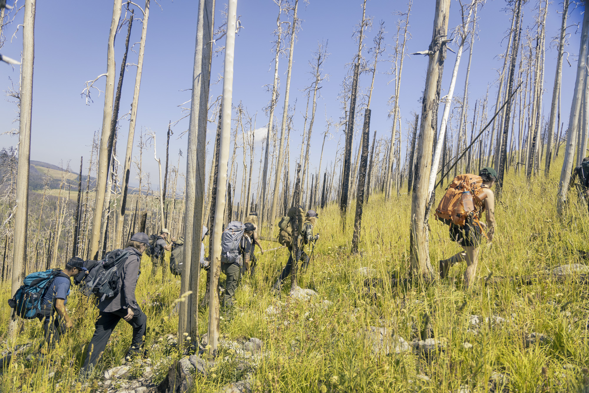 Survival Skills and Rad Gear: The 2023 Backcountry Skills Summit